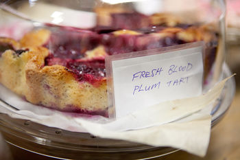 Fresh Blood Plum Tart